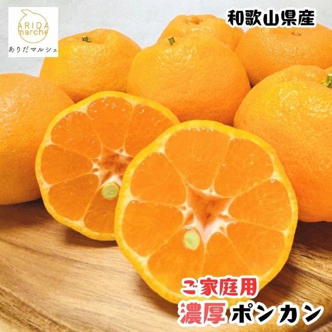 【ふるさと納税】【先行予約】極甘 柑橘 有田育ちの 濃厚 ポンカン（訳あり 家庭用）3kg+200g(傷み補償分) / みかん 柑橘 果物 フルーツ 甘い 和歌山 晩柑 有田 ※2027年1月上旬～2月下旬に順次発送 ※北海道・沖縄・その他離島地域は発送不可 【ard008-c-3A】