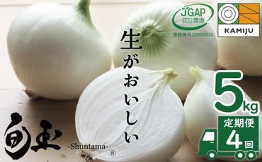 【事前予約】新玉ねぎ 食べ比べ定期便 生がおいしい 神重農産のブランド玉ねぎ「旬玉」5㎏×4回 ブランド玉ねぎ 玉ねぎ 新玉ねぎ 国産 愛知県産 野菜 やさい 農家直送 畑直送 旬 たまねぎ 先行予約 旬 特産 高評価 高リピート 人気 H105-128