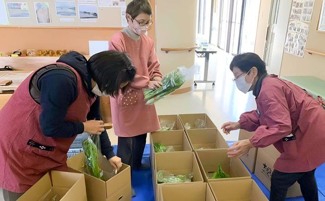 【定期便 年6回】おいしかぁ～便 詰め合わせセット 6ヶ月 お楽しみ ファミリーセット 家族用 野菜 やさい 米 新鮮 新鮮野菜 家庭用 新鮮 福岡県 大刀洗町