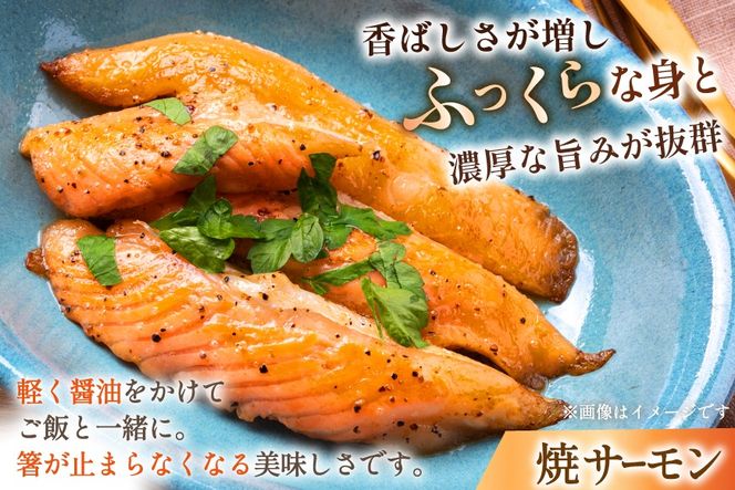 訳あり サーモン 刺身 トロ ハラス フィーレ 総重量4kg [足利本店 宮城県 気仙沼市 20565969] 魚 魚介類 海鮮 さけ サケ シャケ 鮭 お刺し身 刺し身 はらす 鮭ハラス 個包装 骨取り 魚介 小分け 生食用 真空パック