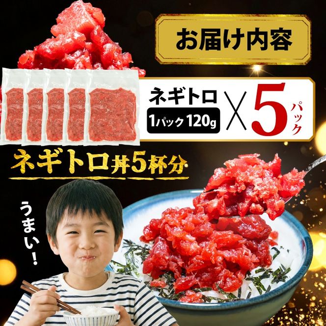 【スピード発送】 天然本鮪100％使用 ネギトロ 600g(120g×5) 小分け 冷凍 保存料無添加 着色料無添加 植物油不使用 天然本まぐろ 赤身 中トロ 大トロ 本まぐろ 本鮪 鮪 まぐろ ねぎまぐろ トロ 刺身 さしみ 刺し身 鮮魚 まぐろ赤身 魚介 魚 マグロ 漬け ユッケ 海鮮丼 国産 天然まぐろ 高級 天然 人気 寿司 本鮪 お正月 年末 三陸 大船渡 ギフト ごちそう
