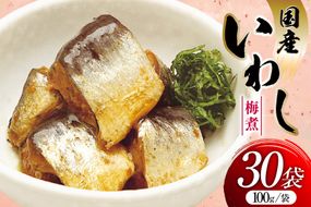 いわし 梅煮 100g 30袋 計3kg [気仙沼市物産振興協会 宮城県 気仙沼市 20565956] 魚 魚介類 梅煮 レトルト 簡単調理 常温 おかず 惣菜 国産