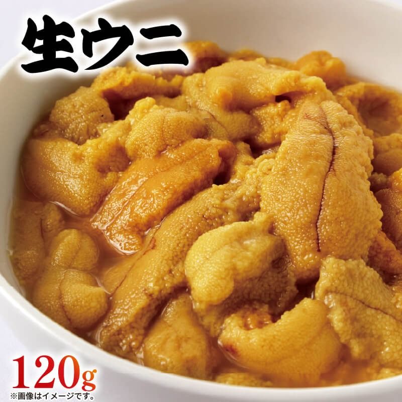 生ウニ 120g ミョウバン不使用 冷蔵 無添加 ムラサキウニ 季節限定 生うに 生雲丹 天然 海鮮丼 寿司 ウニ丼 刺身 直送 [shida006_1]