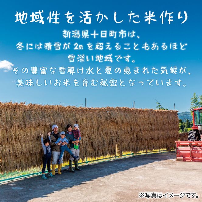 【2か月連続定期便】吉村さんちのくろ米御飯 20パック入りくろ米 うるち米 パック 米 コメ お米 ごはん ご飯 黒米 パックご飯 こしひかり コシヒカリ 新潟県産 魚沼 国産 新潟県 十日町