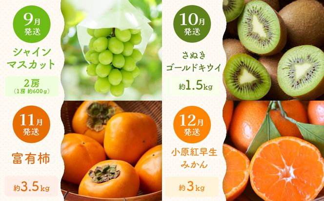 【定期便全12回】旬果厳選！四季を味わう単品定期便♪ 372013_GM024