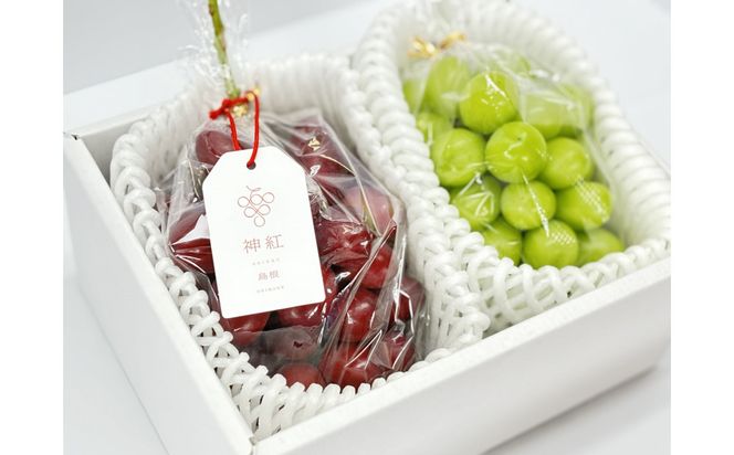 【2026年7月発送】出雲紅白　ハレの日セット（神紅＆シャインマスカット） 322032_GA001