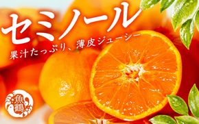 ジューシー柑橘　セミノールオレンジ　5kg【5月上旬～5月下旬頃発送予定】【uot869】
