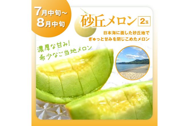 【先行予約／フルーツ定期便4回】旬の果物厳選！京丹後フルーツ王国満足セット（完熟イチゴ・メロン・完熟ブドウ＆シャインマスカット食べ比べ・二十世紀梨）（2026年2月中旬～発送） YK00516