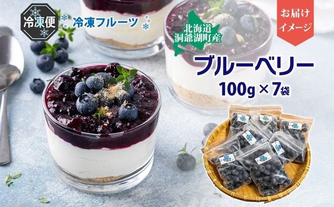 北海道産 ブルーベリー 100g 7袋 果物 果実 くだもの 冷凍食品 おやつ デザート ジュース ヨーグルト ジャム スイーツ 簡単 便利 一人暮らし 小分け 製菓 送料無料 冷凍 北海道 洞爺湖町