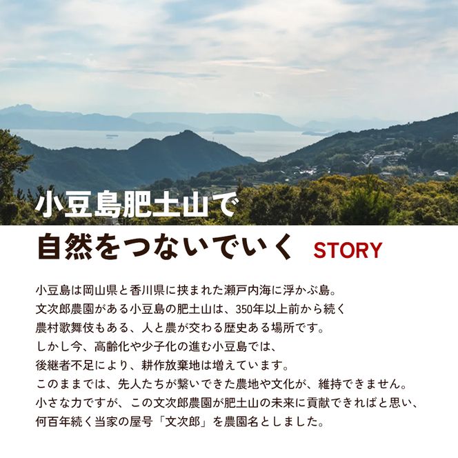 【 小豆島 】文次郎農園 温州みかん ジュース 2本セット 完熟 みかん 蜜柑 ミカン 柑橘 飲料 ドリンク 飲み物 瀬戸内 香川 香川県 土庄 土庄町