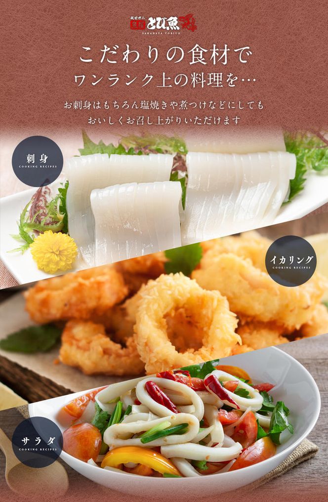 朝どれ アオリイカ 3～8杯 下処理なし セット 詰め合わせ イカ 烏賊 いか 魚介 魚介類 海鮮 海鮮セット 新鮮 福井 福井県 若狭町