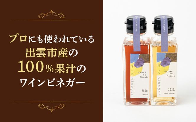 ワインビネガー2020年紅白100ml　2本セット 322032_DJ002