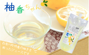 古座川町のゆずドリンク 1リットル柚香ちゃん ×6本セット / ゆず 柚子 ジュース セット ユズ 柚 ドリンク【yuz107B】