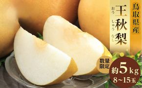 【先行予約】ギフト用 数量限定 鳥取県産”王秋梨（おうしゅうなし）” 約5kg （8～15玉）≪2026年11月中旬頃出荷≫ 312011_GT005