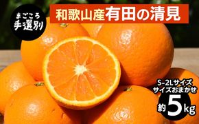 【まごころ手選別】和歌山産　有田の清見　5kg(S～2Lサイズ)サイズおまかせ