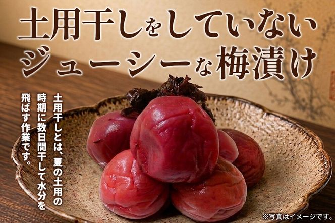  梅漬け（赤しそ入り） 200×4個 自家製 秋田県 北秋田阿仁産 [自家製 手作り 梅干し 梅漬け 漬け物]|jang-010401