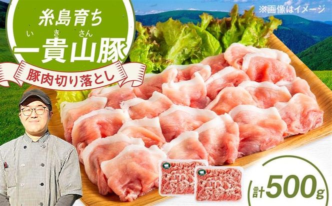 一貴山豚 切り落とし 計500g(250g×2p) 糸島市 / いきさん牧場 豚肉 冷凍[AGB056] 豚肉 豚 ブランド豚 一貴山豚 ポーク 切り落とし 肉 250g