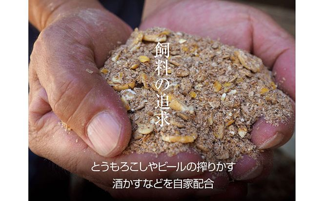 京都もり牛 ヒレステーキ 450g(150g×3枚)