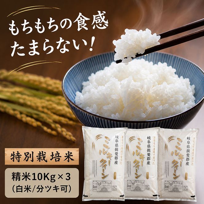 【令和7年産】特別栽培米 30kg【白米、7分ツキ】（ミルキークイーン）