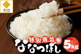 《令和7年産》特別栽培米ななつぼし 5kg | 16年連続特A ブランド米 白米 精米 米 お米 こめ 減農薬 単一原料米 ご飯 贈答 ギフト お試し 北海道米 北海道 滝川市