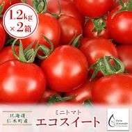 [2026年発送][栽培期間中 農薬・化学肥料不使用] 北海道 仁木町産 ミニトマト エコスイート 1.2kg×2箱 サイズ混載 トマト野菜 やさい  [Farm Watanabe]