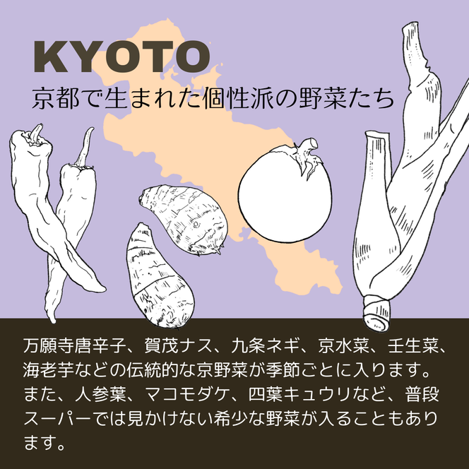 【8回定期便】＜３６９商店＞京都丹波産旬の野菜セット ※全て栽培期間中農薬・化学肥料不使用 ※北海道・沖縄・離島への配送不可