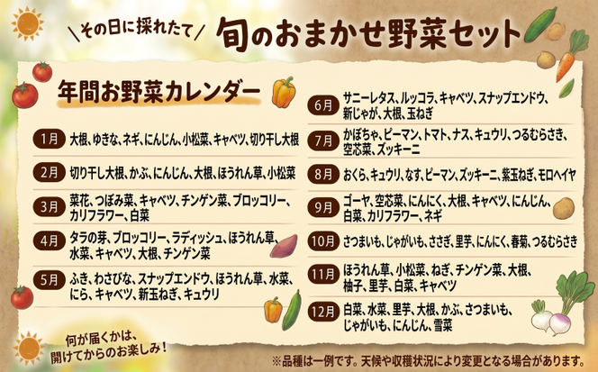宮城県 岩沼産 産地直送 朝どれ 新鮮野菜 4～5種類 詰め合わせセット