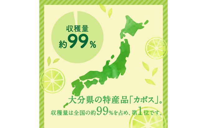 【C09022】【期間限定9月末まで】大分の露地カボス 約1.8kg