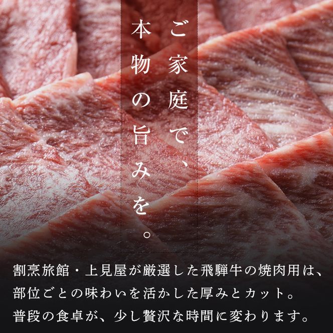牛肉 飛騨牛 ロース肉 焼肉用 750g 牛 肉 ロース 焼き肉 赤身 飛騨 F4N-1744