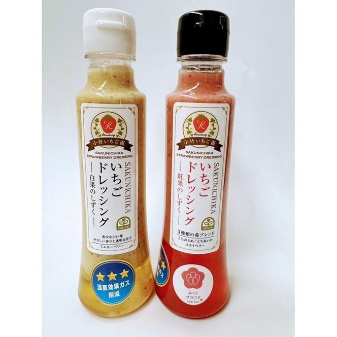 【SAKUNICHIKA】さくらブランド6種ギフトセット｜とちあいか とちおとめ スカイベリー ミルキーベリー 栃木県 さくら市 イチゴ 苺