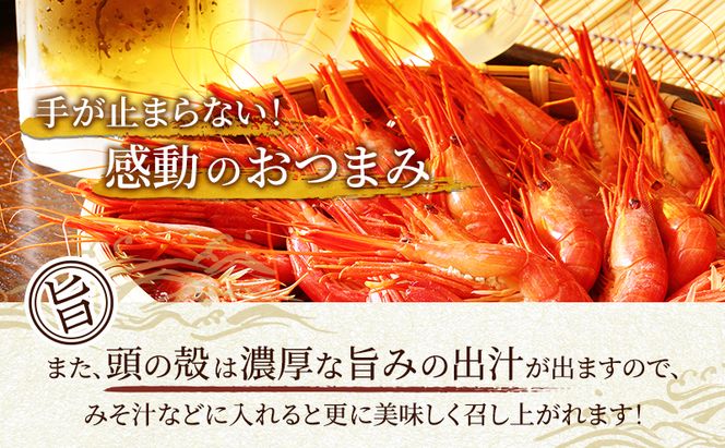えび 3D冷凍 北海道 厚岸産 浜茹で 北海しまえび 中サイズ 500g (33尾前後) 海鮮 魚介類 