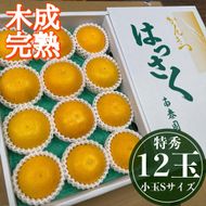 4月 まで 木成 完熟 させた 有田 はっさく 特秀 小玉 S × 12玉 化粧箱 南泰園 みかん 	BS759