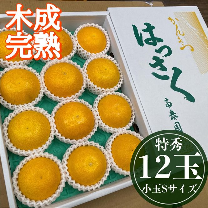 4月 まで 木成 完熟 させた 有田 はっさく 特秀 小玉 S × 12玉 化粧箱 南泰園 みかん 	BS759