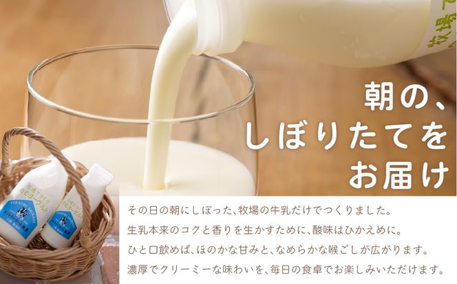 【定期6ヶ月】のむヨーグルト 500g ×8 SKB053