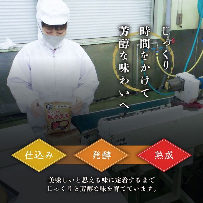 定期便 全6回 こし味噌 キッコーナン 10割麹「秋田にかほみそ」1.5kg（750g×2）秋田県産大豆100％・あきたこまち米100％【 みそ 味噌  米味噌 小分け カップ 麹 調味料 秋田香酵母 あきたこまち 秋田県 にかほ 】