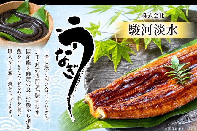 うなぎ 静岡県産 鰻2尾 約160g×2 蒲焼1尾 白焼1尾 [駿河淡水株式会社 静岡県 吉田町 22424653] 国産 鰻 ウナギ 蒲焼 蒲焼き かば焼き 白焼き 白焼 真空パック