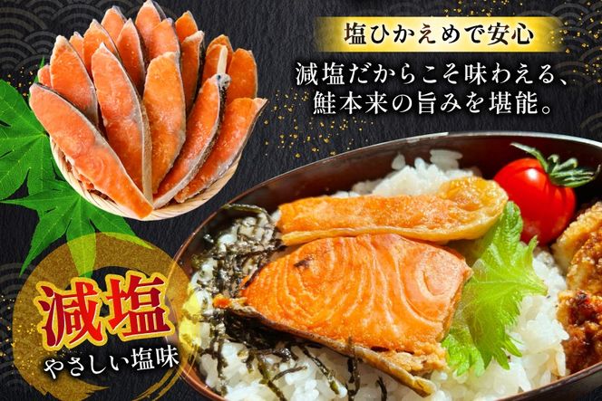 訳あり 無添加 減塩 塩銀鮭 切身 総重量 3kg [足利本店 宮城県 気仙沼市 20565551] 魚 魚介類 サーモン 鮭 海鮮 魚介 甘塩味 塩分控えめ さけ サケ 鮭切身 シャケ 切り身 銀鮭切り身 簡易包装 規格外 不揃い 家庭用 冷凍