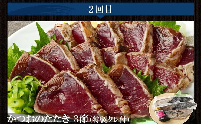 定期便3回 カツオとマグロ堪能定期便B お楽しみ 切り落とし 刺身 刺し身 鮪 鰹 まぐろ カツオのたたき ネギトロ 海鮮 魚 惣菜 海産物 魚介類 魚貝 高知県 まぐろたたき 冷凍 訳あり 不揃い 傷 規格外 故郷納税 どんぶり お手軽 便利 30000円 室戸 all tk013!