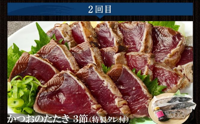 【3回定期便】カツオとマグロ堪能定期便B お楽しみ 切り落とし 刺身 刺し身 鮪 鰹 まぐろ カツオのたたき ネギトロ 海鮮 魚 惣菜 海産物 魚介類 魚貝 高知県 まぐろたたき 冷凍 訳あり 不揃い 傷 規格外 故郷納税 どんぶり お手軽 便利 30000円 室戸定期便 tk013