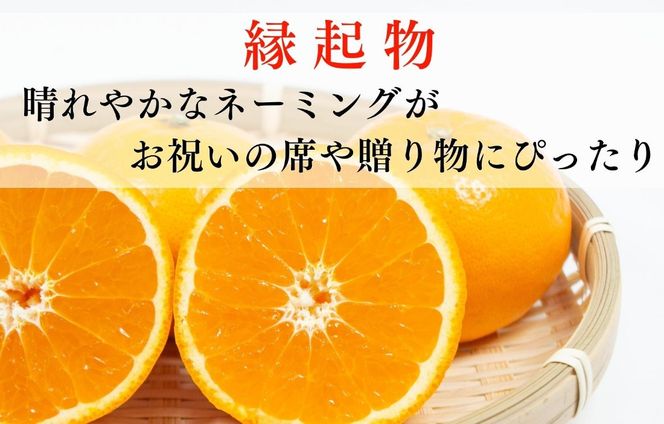 はれひめ みかん 箱込 2.5kg（内容量約 2.3kg） 秀品 優品 混合 サイズミックス 和歌山県産 産地直送【みかんの会】 AX387