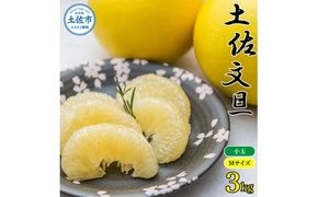 【先行予約】【訳あり】農家直送 土佐市産 土佐文旦 小玉 約3kg 7～10玉入 〈2027年2月〜発送〉 家庭用 訳あり ３キロ Mサイズ 傷 文旦 ぶんたん ぼんたん フルーツ 果物 くだもの 柑橘 みかん 高知県 土佐市【株式会社種田農園】 [BQBW009]