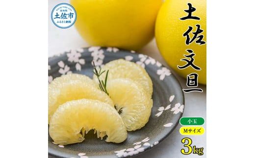 【先行予約】【訳あり】農家直送 土佐市産 土佐文旦 小玉 約3kg 7～10玉入 〈2027年2月〜発送〉 家庭用 訳あり ３キロ Mサイズ 傷 文旦 ぶんたん ぼんたん フルーツ 果物 くだもの 柑橘 みかん 高知県 土佐市【株式会社種田農園】 [BQBW009]