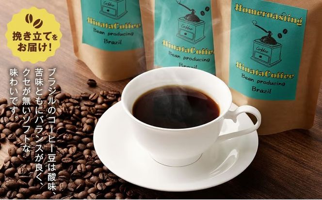 【3カ月定期便】コーヒー 豆 粉（ブラジル サントス 中煎り 中細挽き）100g × 3個セット | ミディアムロースト ギフトBOX付き コーヒー 珈琲 自家焙煎 ひなた珈琲 幸田町 送料無料