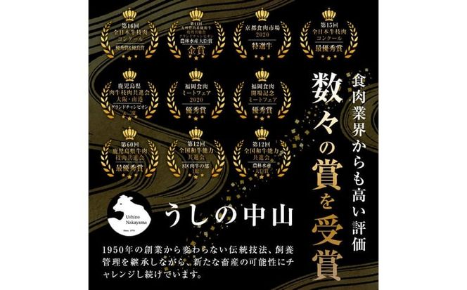 【数量限定】A4・A5等級うしの中山黒毛和牛ミスジステーキ 1枚 計100g a0-361-yy