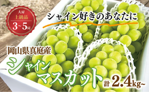 【2026年先行予約】シャインマスカット 上級品 大3-5房/計2.4kg~ (岡山県産)【KF-B072-02】