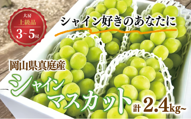 【2026年先行予約】シャインマスカット 上級品 大3-5房/計2.4kg~ (岡山県産)【KF-B072-02】
