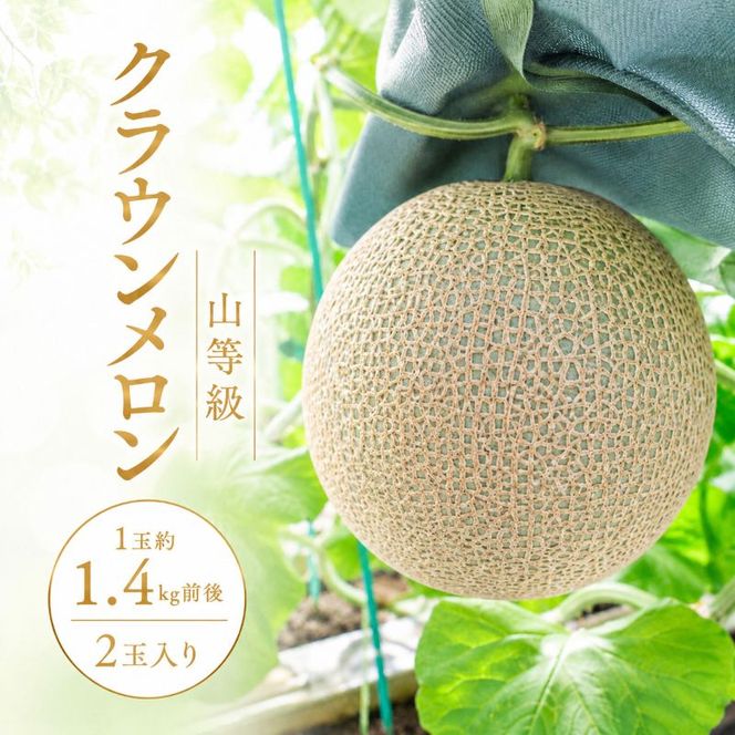 クラウンメロン山等級1.4kg前後　2玉入り 果物 メロン青肉 フルーツ デザート 高級メロンブランド 高級メロン ブランドメロン