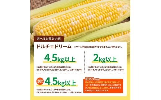 ※送付内容が選べる※【令和８年発送】SUNちゃん農園産「ドルチェドリーム（サイズ指定不可）」 【 とうもろこし ドルチェドリーム トウモロコシ 令和8年発送 数量限定 期間限定 】 [C13101 C13102 C13103]