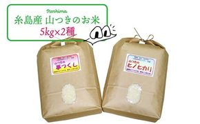 福吉産 の お米 ・ 2品種 セット 糸島市 / 二丈赤米産直センター [ABB011] 米 食べ比べ 無洗米