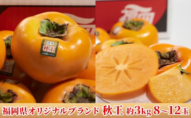 柿 秋王 あきおう 約3kg箱 8～12玉 配送不可 離島 果物類 かき 